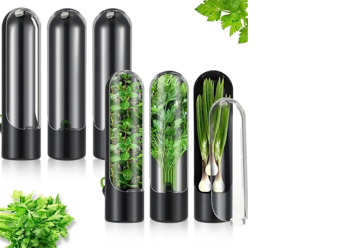 Fresh Herb Keeper Storage Bottle – Preserve Herbs & Vegetables